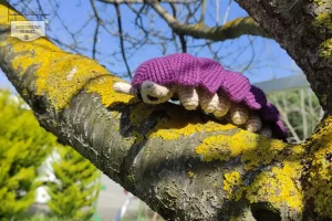 Read more about the article Amigurumi Bug Pattern – Roly Poly Pill Bug Pattern Review